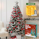 Prancheta1
